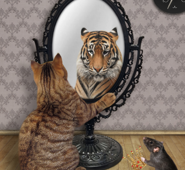 klein maar groots lef