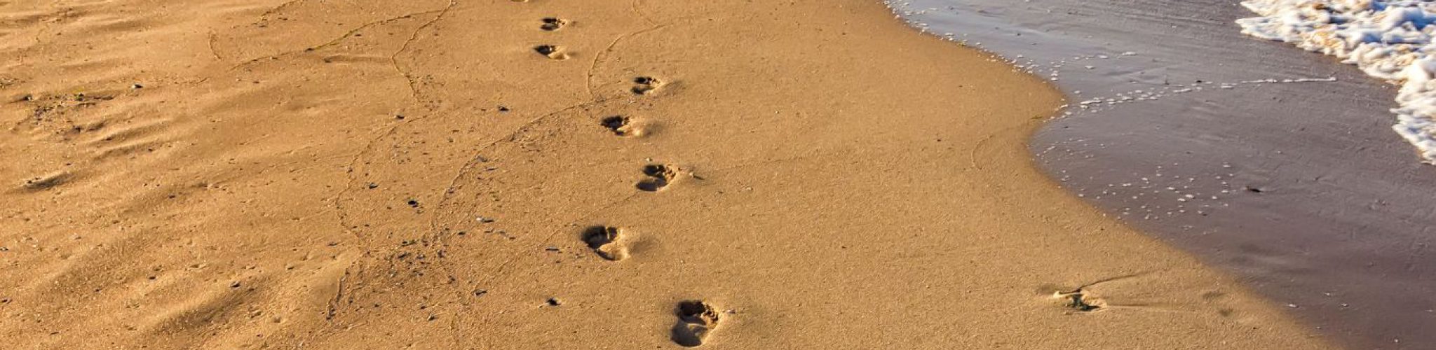 eerste stap tweede komt vanzelf